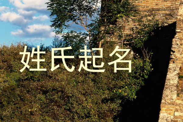 姓氏起名