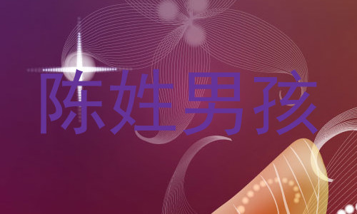 陈姓男孩