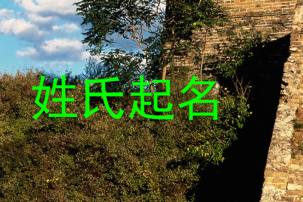 姓氏起名