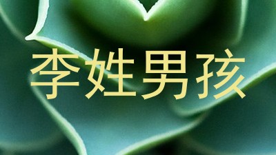 李姓男孩