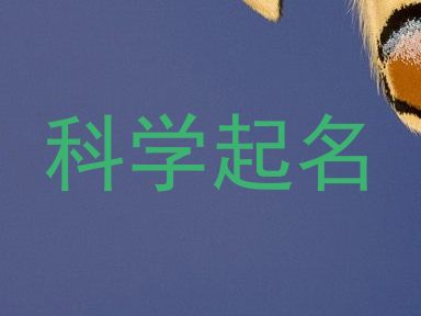 科学起名