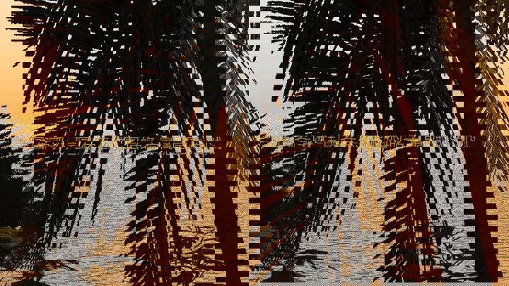 匡园名字评分-匡园名字怎么样-匡园的名字寓意-匡园姓名测试