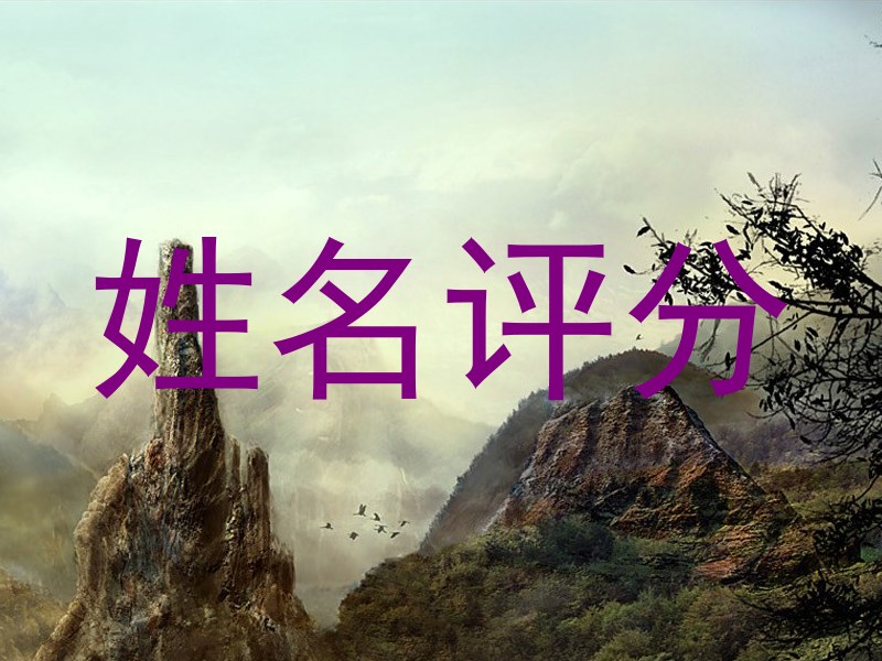 姓名评分