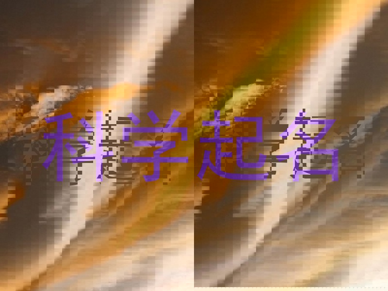科学起名