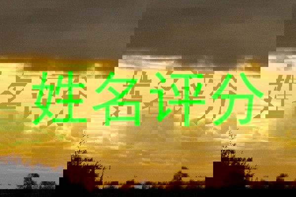 姓名评分