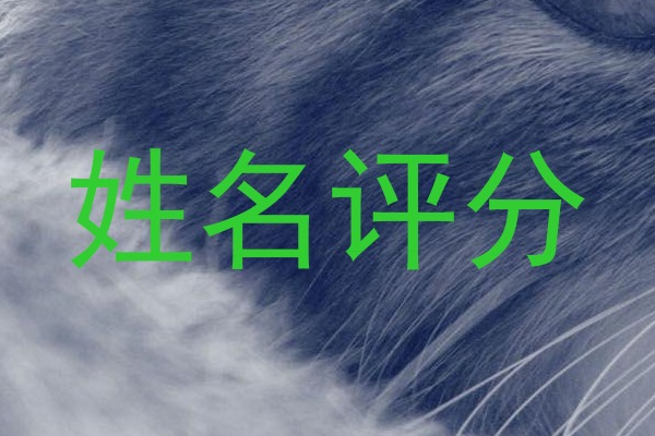 姓名评分