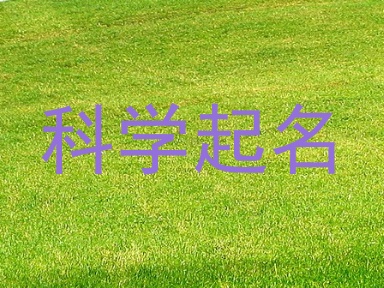 科学起名