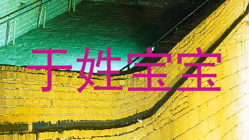 于姓宝宝