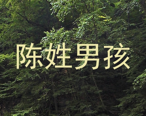 陈姓男孩