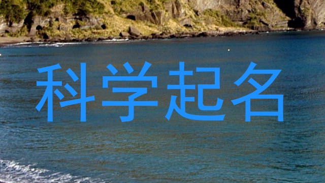 科学起名