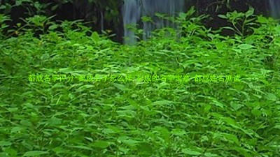 都成名字评分-都成名字怎么样-都成的名字寓意-都成姓名测试