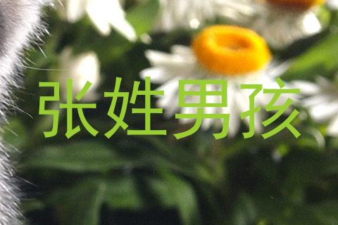 张姓男孩