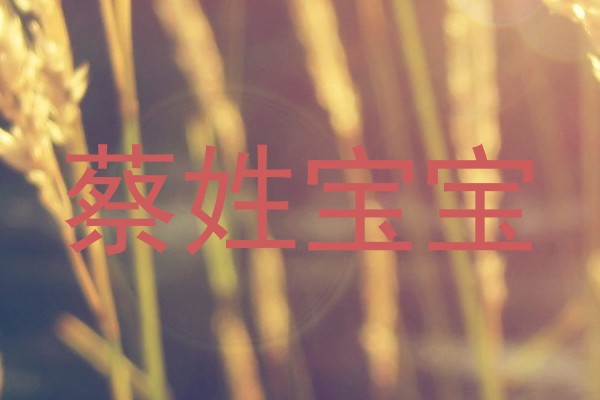 蔡姓宝宝