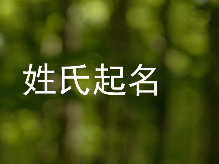 姓氏起名