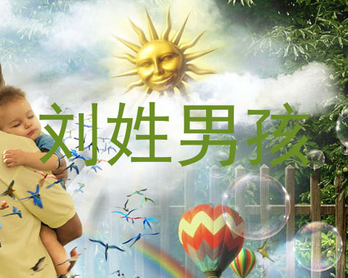 刘姓男孩