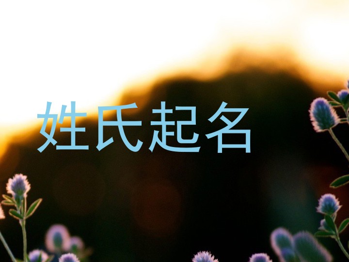 姓氏起名