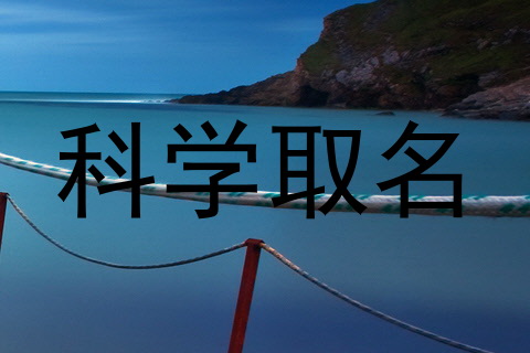 科学取名