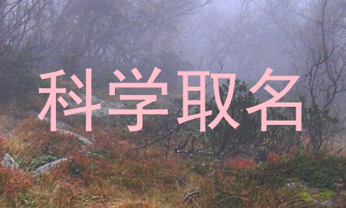 科学取名