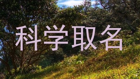 科学取名