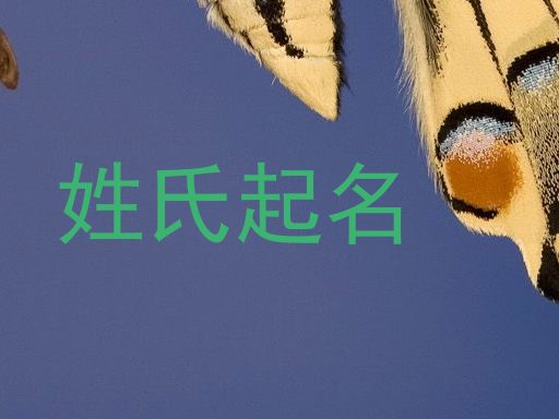 姓氏起名