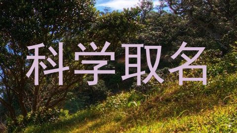 科学取名