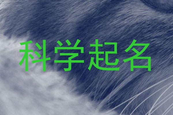 科学起名
