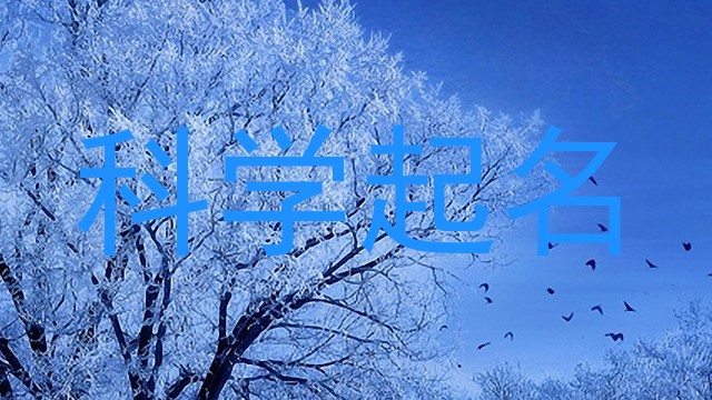 科学起名
