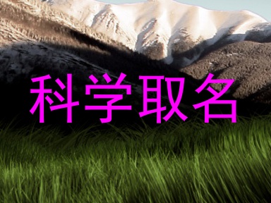 科学取名