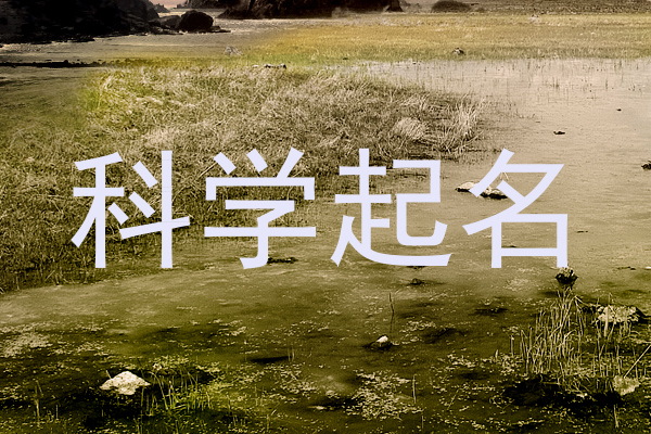 科学起名