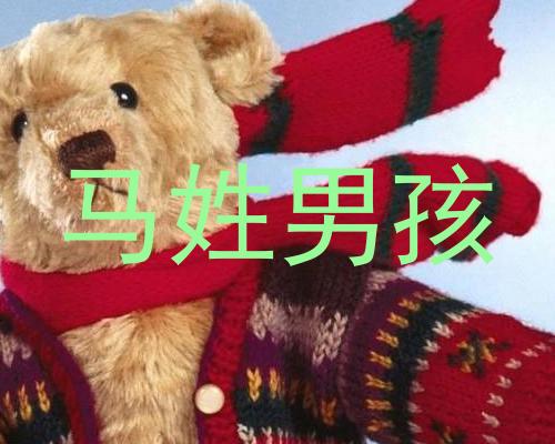 马姓男孩