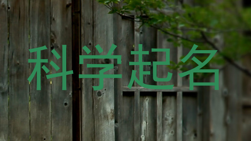 科学起名