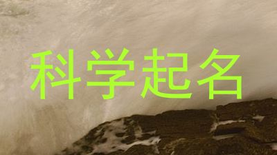 科学起名