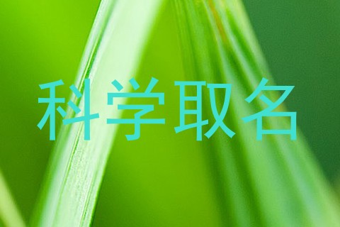 科学取名