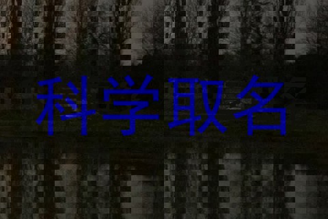 科学取名