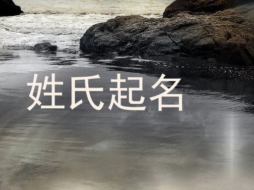 姓氏起名