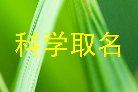 科学取名
