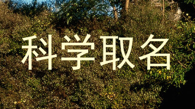 科学取名