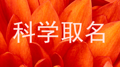 科学取名
