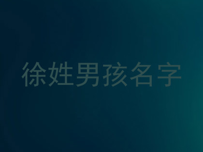 徐姓男孩名字