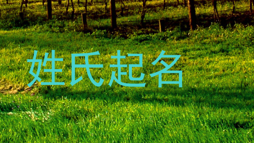 姓氏起名