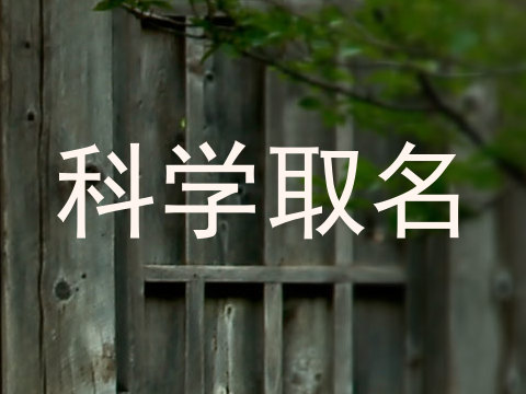 科学取名