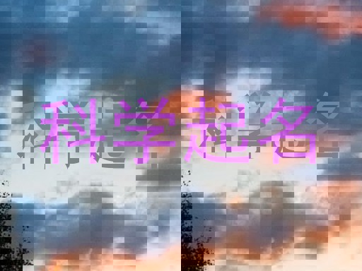 科学起名