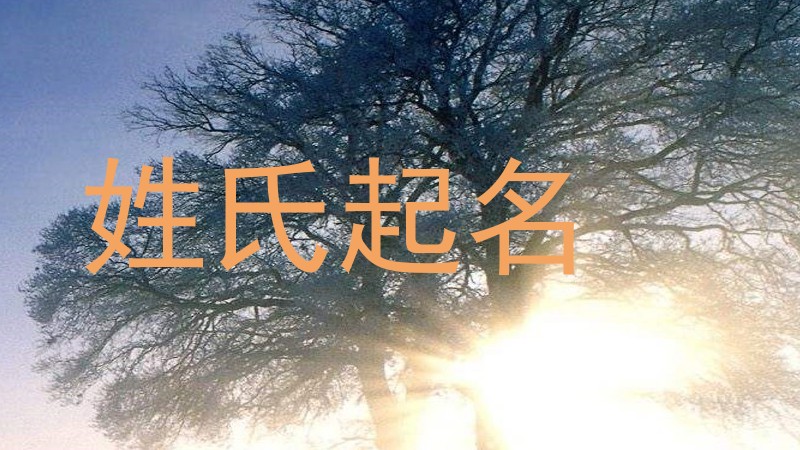 姓氏起名