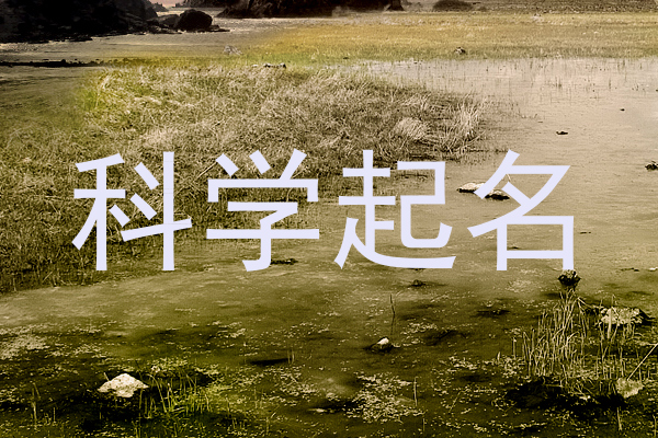 科学起名