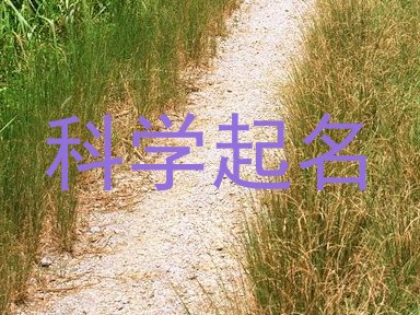 科学起名