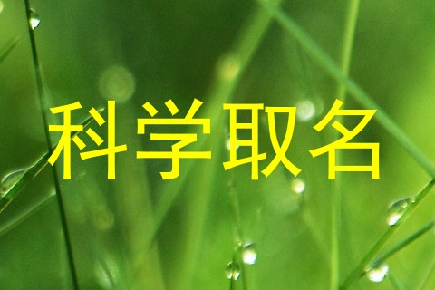 科学取名