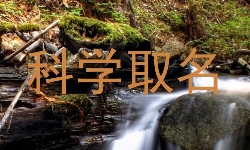 科学取名
