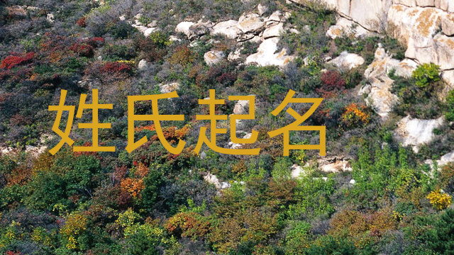 姓氏起名