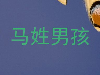 马姓男孩
