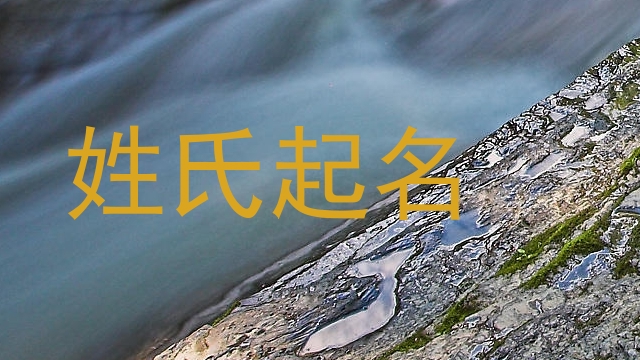 姓氏起名